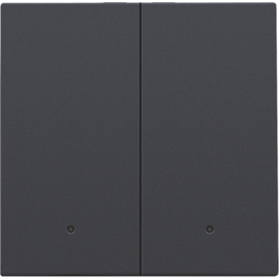 Niko Intense anthracite Afwerkingsset met lens voor dubbele elektronische schakelaar of drukknop Niko slimme tweevoudige schakelaar met 2 bedieningsknoppen