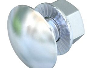 100 x Bout platkop + combimoer FRSB M6x12 vuurverzinkt VANGEEL SYSTEMS Breedte 100mm