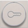 Niko Original light grey Toets met doorschijnende ring en sleutelsymbool voor drukknop 6A Niko Original Light Grey