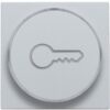 Niko intense sterling Toets met doorschijnende ring en sleutelsymbool voor drukknop 6A Niko Intense Sterling