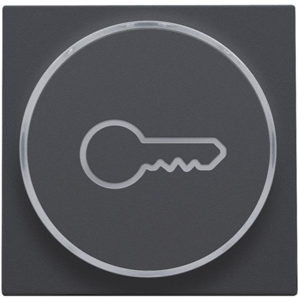 Niko Intense anthracite Toets met doorschijnende ring en sleutelsymbool voor drukknop 6A Niko Intense Antracite