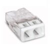 Wago 100 stuks Steekklem 2×0