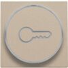 Niko Pure steel champagne Toets met doorschijnende ring en sleutelsymbool voor drukknop 6A Niko Pure Champagne steel