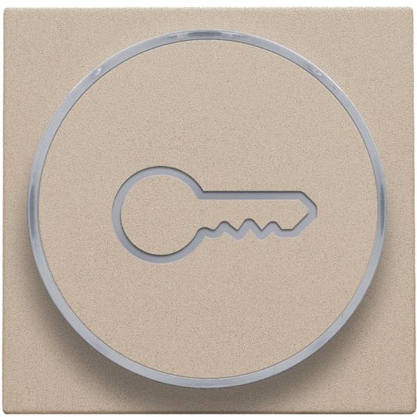 Niko Pure steel champagne Toets met doorschijnende ring en sleutelsymbool voor drukknop 6A Niko Pure Champagne steel
