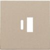Niko Pure steel champagne Afwerkingsset voor dubbele smart USB-A- en USB-C-lader Niko Pure Champagne steel