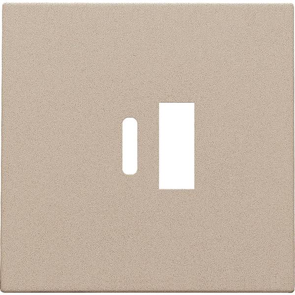 Niko Pure steel champagne Afwerkingsset voor dubbele smart USB-A- en USB-C-lader Niko Pure Champagne steel