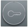 Niko Pure alu steel grey Toets met ring met symbool ‘sleutel’ voor drukknop 6A Niko Pure alu steel grey