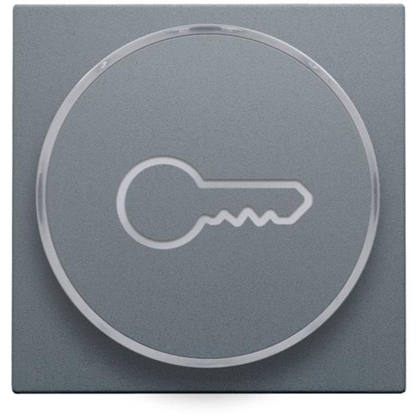 Niko Pure alu steel grey Toets met ring met symbool ‘sleutel’ voor drukknop 6A Niko Pure alu steel grey