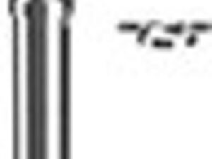 Bosch dakdoorvoer zonder uitmondingsafsluiting inox hoogte: 1000 mm Bosch