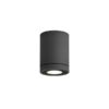 Wever & Ducre TUBE OUTDOOR CEILING SURFACE 1.0 PAR16 MAX.5W ANTHRACITE GREY Wandarmaturen