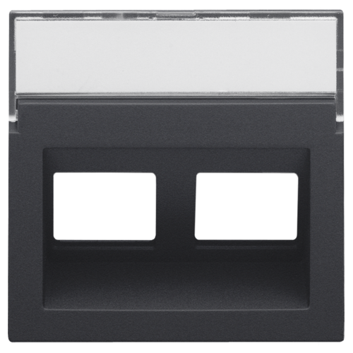 Niko Intense Anthracite Coated Centraalplaat 2x RJ45 STP cat.6 schuin met doorzichtig tekstveld