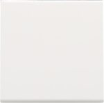 Niko Pure steel white Afwerkingsset voor een enkelvoudige elektronische schakelaar of drukknop 154-31002 RAL 000 90 00