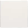 Niko Original White Centraalplaat voor blindplaat 101-76901 RAL 9010