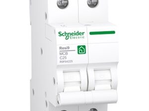 Schneider Automaat 2 polig 25A
