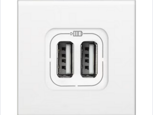 Bticino Livinglight USB-lader type A+C-3A- 2 modules wit USB laders en inductie laders
