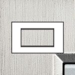 BTICINO LivingLight geborsteld staal Rechthoekige afdekplaat 4 modules