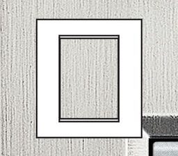 BTICINO LivingLight geborsteld staal Rechthoekige afdekplaat 3+3 modules