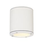SLV Belgium Sitra Ceiling opbouw 9W Gx53 wit
