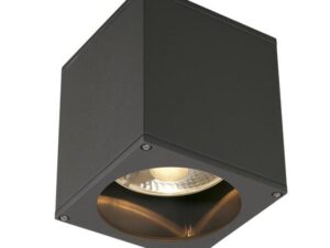 SLV Belgium BIG THEO plafond OUT