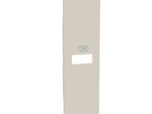 BTicino Living Light LNOW sierpl. 2xusb ctdoos zand