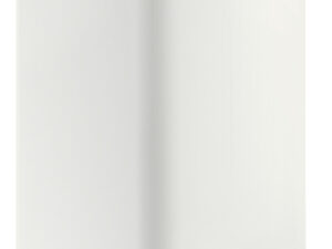 Atlantic Linéo Connected elektrische boiler 100L verticaal muur droge weerstand