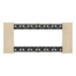 BTicino Living Light LNOW afdekpl. 6 mod goud