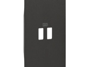 BTicino Living Light LNOW sierpl.2xUSB ctdoos zwart