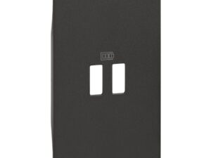 BTicino Living Light LNOW sierplaat ctd usb zwart