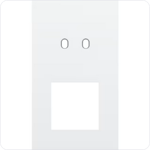 Niko Tweevoudige afdekplaat v60 voor tweev schak + fct toggle wit Niko Toggle Wit
