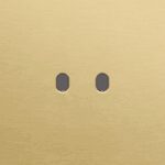 Niko Toggle Enkelvoudige afdekplaat voor 1 tweev schak alu gold brushed RAL: 1000