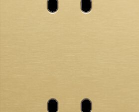 Niko Toggle 2-Voudige afdekplaat v60vr 2 tweev schak alu gold brushed RAL: 1000