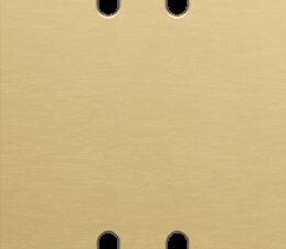 Niko Toggle 2-Voudige afdekplaat v71vr 2 tweev schak alu gold brushed RAL: 1000