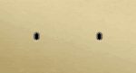 Niko Toggle 2-Voudige afdekplaat h71 vr 2 enklv schak alu gold brushed RAL: 1000