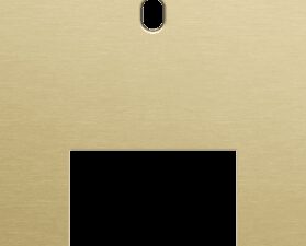 Niko Toggle 2-Voudige afdekplaat v60 vr enklv schak + fct alu gold brushed RAL: 1000