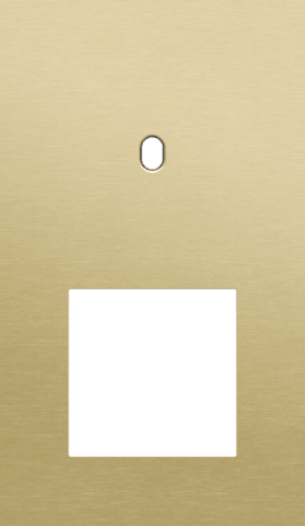 Niko Toggle 2-Voudige afdekplaat v60 vr enklv schak + fct alu gold brushed RAL: 1000
