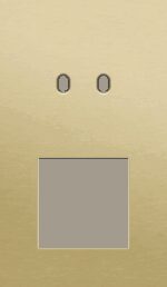 Niko Toggle 2-Voudige afdekplaat v60 vr tweev schak + fct alu gold brushed RAL: 1000