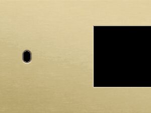 Niko Toggle 2-Voudige afdekplaat h71 vr enklv schak + fct alu gold brushed RAL: 1000