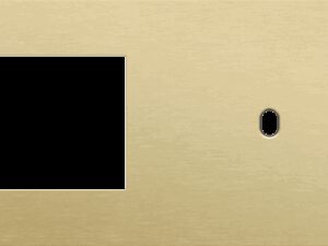 Niko Toggle 2-Voudige afdekplaat h7Enkelvoudige afdekplaatvr enklv schak alu gold brushed RAL: 1000