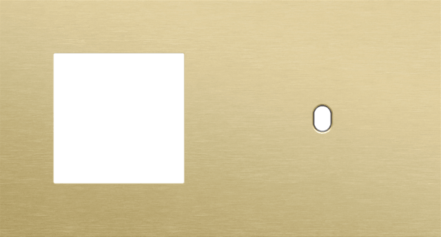 Niko Toggle 2-Voudige afdekplaat h7Enkelvoudige afdekplaatvr enklv schak alu gold brushed RAL: 1000