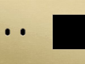 Niko Toggle 2-Voudige afdekplaat h71 vr tweev schak + fct alu gold brushed RAL: 1000