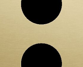 Niko Rocker en Toggle 2-Voudige afdekplaat 60mm centerafstand voor 2 stopcontacten alu gold brushed RAL: 1000
