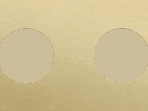 Niko Rocker en Toggle 2-Voudige afdekplaat 71 voor 2 stopcontacten alu gold brushed RAL: 1000