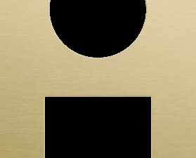 Niko Rocker en Toggle 2-Voudige afdekplaat verticaal 60 mm centerafstand voor stopcontact en 1 functie, alu gold brushed RAL: 1000