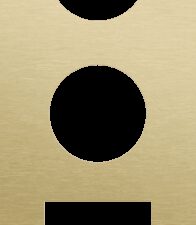 Niko Rocker en Toggle 3-Voudige afdekplaat verticaal 60 mm centerafstand voor 2 stopcontacten en 1 functie, alu gold brushed RAL: 1000