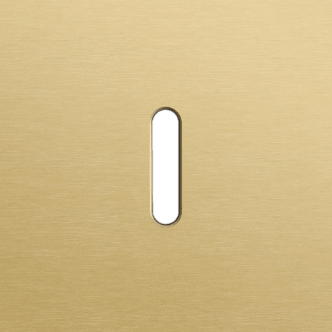 Niko Rocker Enkelvoudige afdekplaat voor enkelvoudige schakelfuncties alu gold brushed RAL: 1000