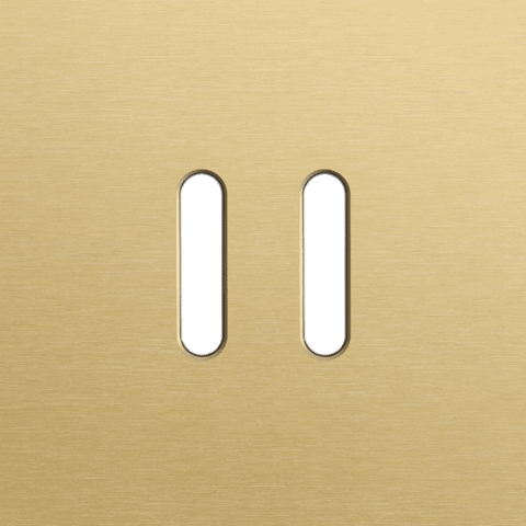 Niko Rocker Enkelvoudige afdekplaat voor tweevoudige schakelfuncties alu gold brushed RAL: 1000