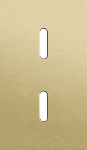 Niko Rocker 2-Voudige afdekplaat verticaal 60 mm centerafstand voor twee enkelvoudige schakelfuncties alu gold brushed RAL: 1000