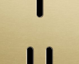 Niko Rocker 2-Voudige afdekplaat verticaal 60 mm centerafstand voor een enkelvoudige en een tweevoudige schakelfunctie alu gold brushed RAL: 1000
