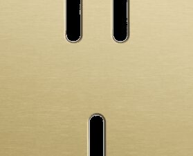 Niko Rocker 2-Voudige afdekplaat verticaal 60 mm centerafstand voor een tweevoudige en een enkelvoudige schakelfunctie alu gold brushed RAL: 1000