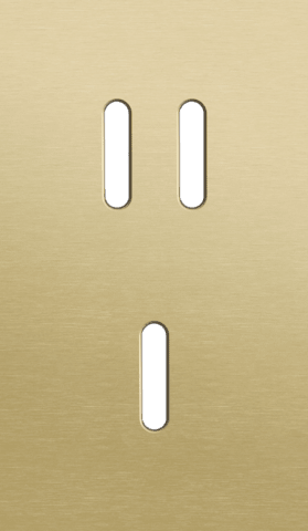 Niko Rocker 2-Voudige afdekplaat verticaal 60 mm centerafstand voor een tweevoudige en een enkelvoudige schakelfunctie alu gold brushed RAL: 1000